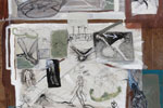 COLLAGE